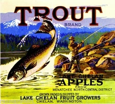 Lake Chelan Washington Trout #2 Apple Fruit Crate Label Art Print