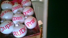 Christmas bulbs with reindeer names        Free shipping