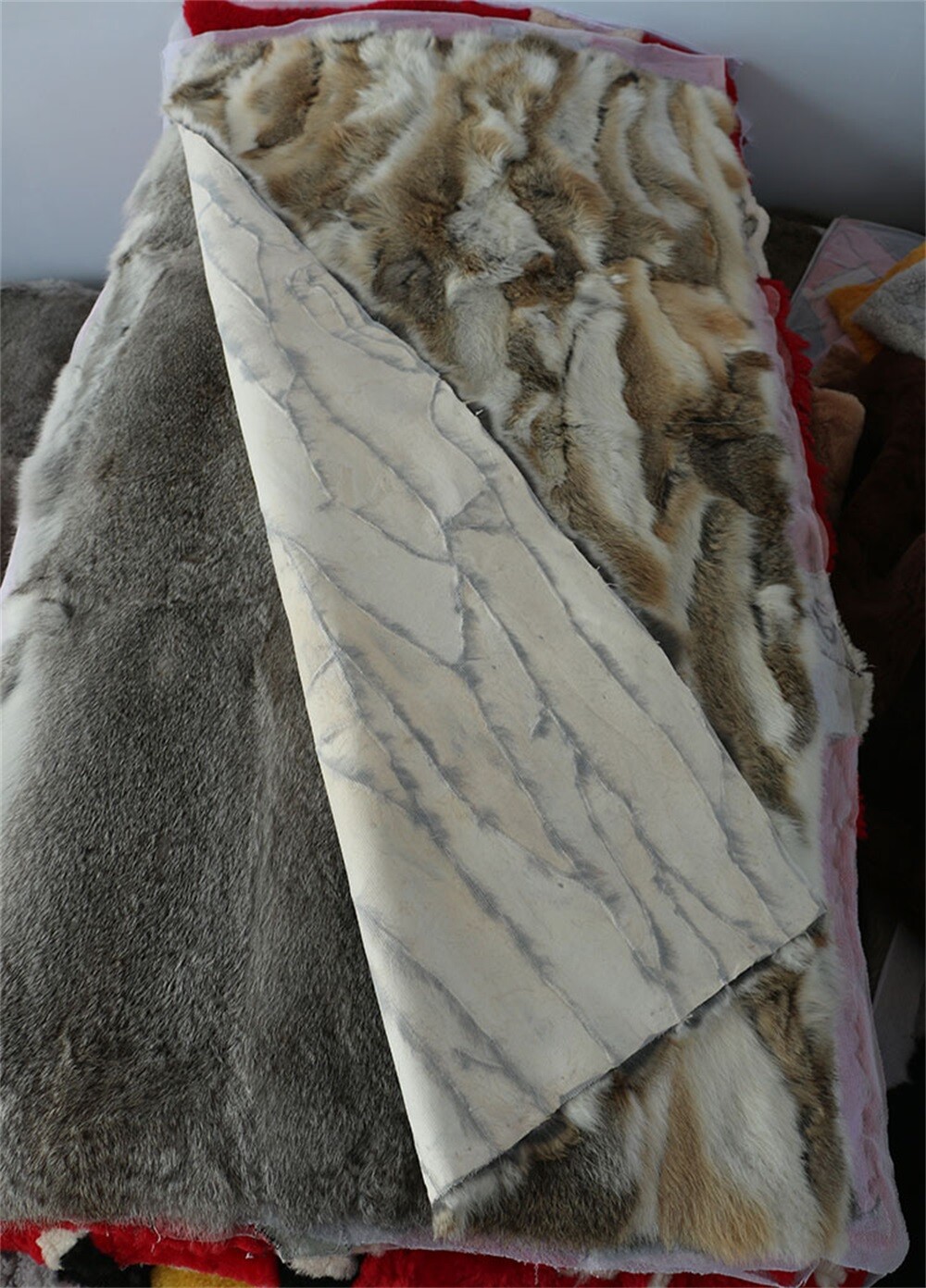 Picture 9 of 12