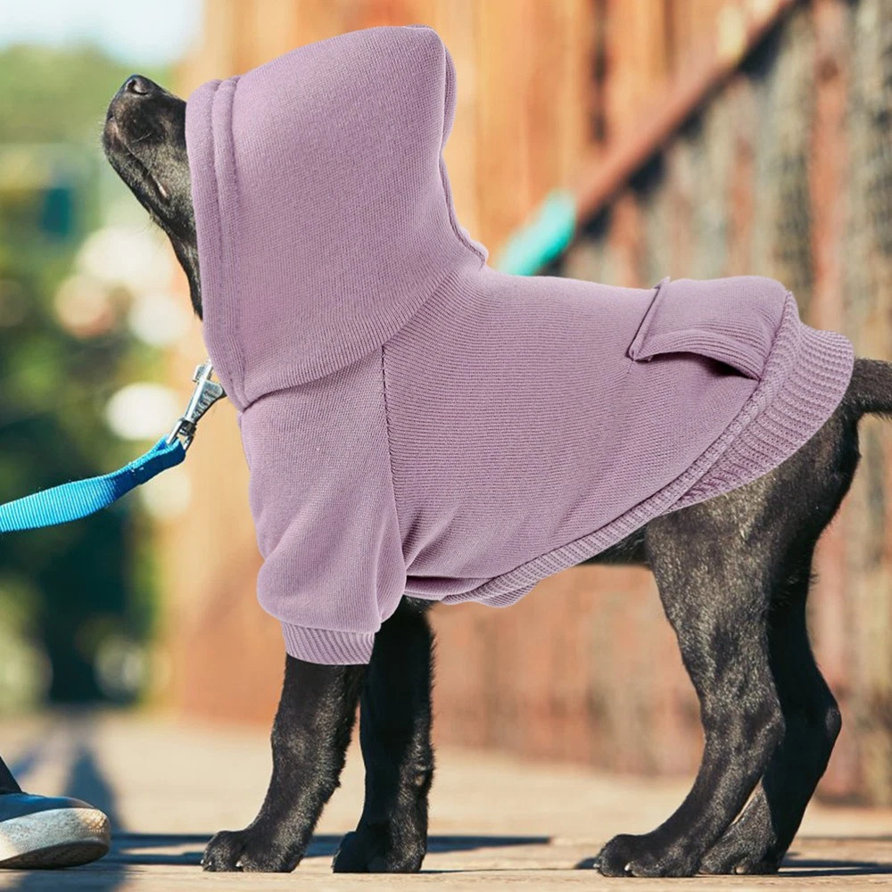 VETEMENTS Maglione per Cani Abbigliamento Elegante Cucciolo Autunno Inverno Cucciolo Hoodie