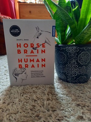 Horse Brain, Human Brain Janet L. Jones