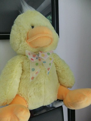 talking bird toy tesco