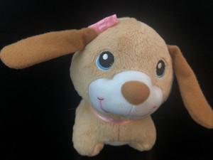 vtech electronic pet carrier