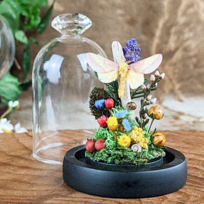 Rosy Maple Moth spread Glass Dome Display Entomology Taxidermy Curiosity gift