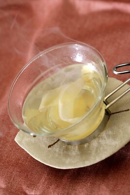 Kondo Apiary Shoga Hachimitsu Tsuke Japanese Ginger Honey Tea