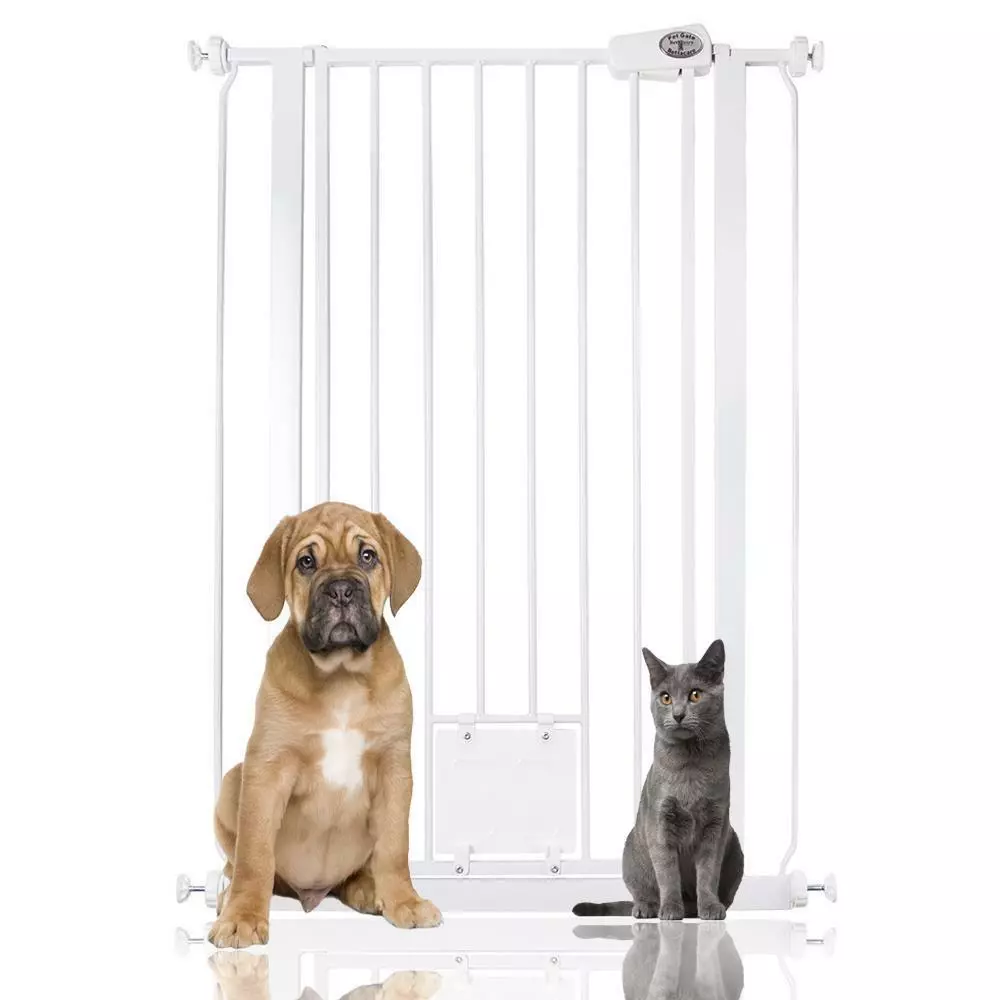 Cat top dog gate