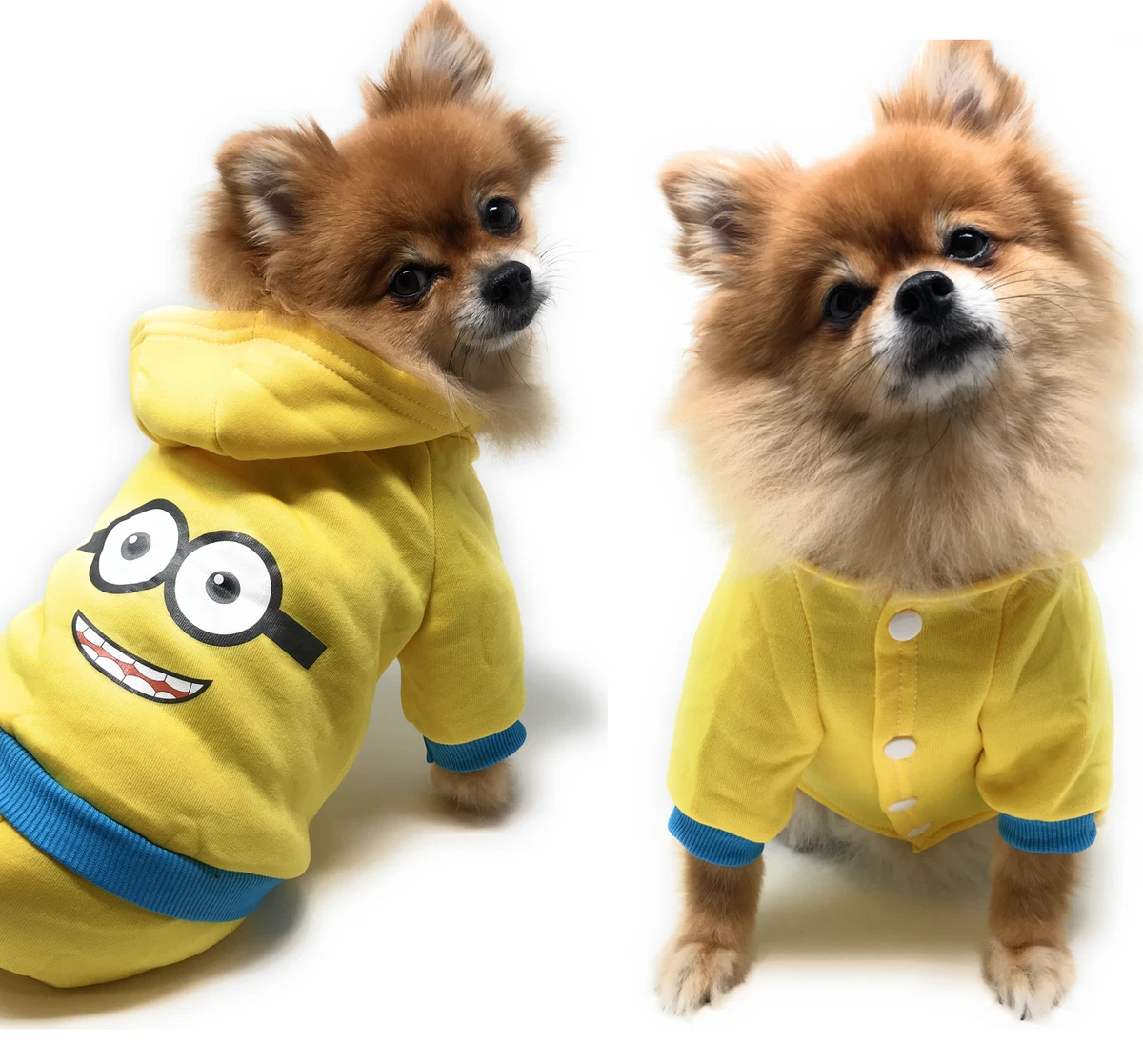 Chihuahua Puppy Sweater Clothes Small Pet Dog Warm Clothing Apparel USA eBay