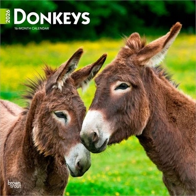 BROWNTROUT PUBLISHERS Donkeys Calendar 2026 | Square 30cm x 30cm | 100% Plastic Free