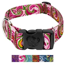 Country Brook Petz® HossFit Jr Wide Deluxe Dog Collar (Paisley Collection)