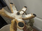 Starfish  Table Lamp Beach House Nautical Coastal resin 17" x 7 base NO SHADE ! — photo 6