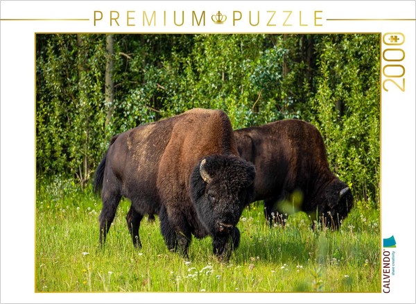Calvendo Puzzle Waldbison 2000 Teile Puzzle Quer | 2000 Teile Lege-GrößE 90X67Cm-image