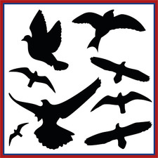 Aufkleber Fenster Vogelschutzaufkleber verschiedene Vögel und Größen 8er Bogen