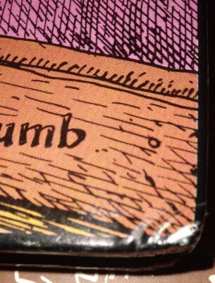THE COMPLETE CRUMB COMICS VOL. 3 STARRING FRITZ THE CAT By Robert