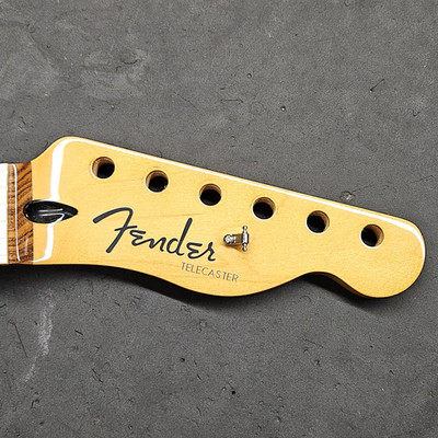 2025 Fender Player Plus Tele Pau Ferro Neck - Telecaster Electric Guitar