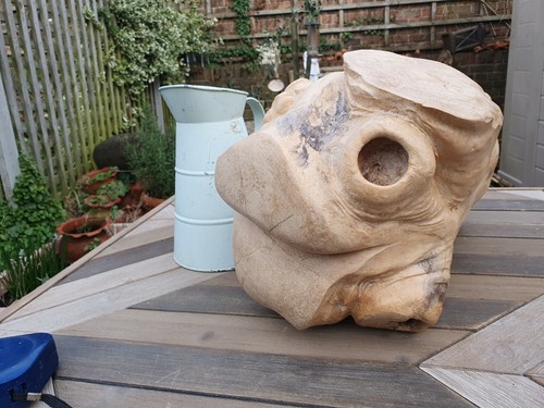 Wooden natural organicSculpture Modernist Abstract garden/reptile Unique Piece - Picture 11 of 12