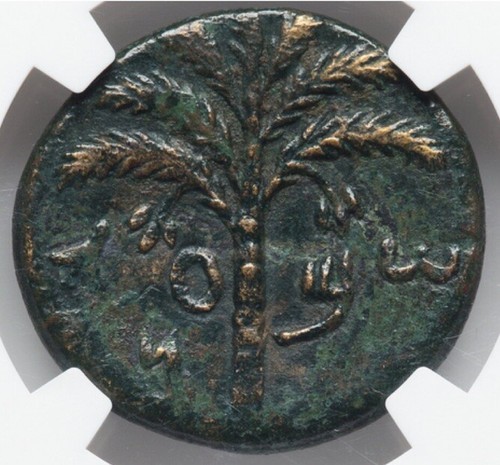NGC ChVF BAR KOKHBA Kochba 132-135 Jewish War Revolt YEAR 2 Judaea Middle Bronze - Picture 5 of 7
