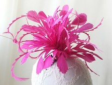 Goose Biot Twisted Mount Millinery Hats Fascinator Stripped Coque Feather Flower