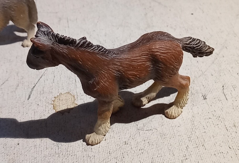 Picture 6 of 22