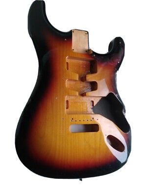 Flexible Pickup Stratocaster Body.