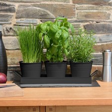 Indoor Herb Planters Tray Kitchen Windowsill Plant Pot With Handle Black Set UK