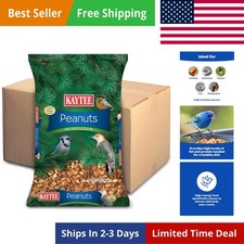 Shelled Peanuts for Cardinals, Blue Jays, Woodpeckers and Other Outside Wild ...