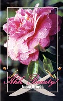 Lucia Bruels | Ahh, Beauty! | Taschenbuch | Englisch (2001) | 1st Book Library