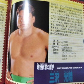 Saturn Pro Wrestling Featuring Virtua, Used, Sega Saturn Game, Wrestling NNK