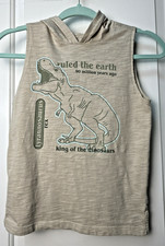 365 Kids From Garanimals Boy's Dino Muscle Hoodie Tyrannosaurus 7 Dinosaurs Top