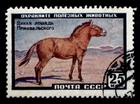Przewalski Horse. 1w. Gest. USSR 1959