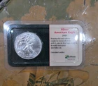 2001 - 1 oz Silver American Eagle (Brilliant Uncirculated)