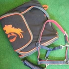 Set parade blanket Ascot fleece, halter and knit sweatshirt fleece blanket