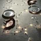 Bild 4 von 4