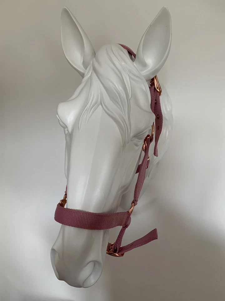 Headcollar and Lead Rope Set, Rose Gold & Pink, COB, FREE UK Postage - Image 4 of 4