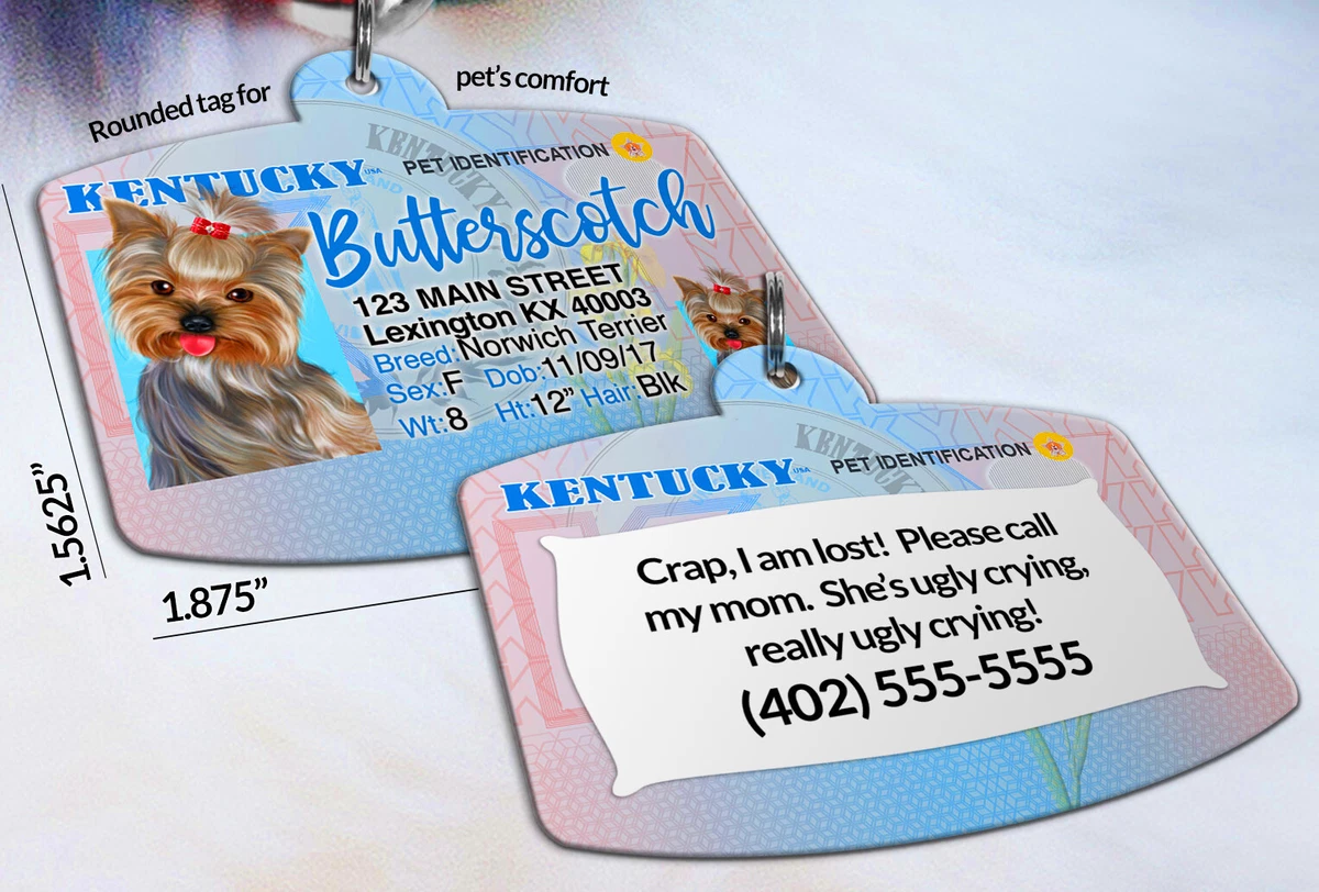 Dog id cheap tags ebay