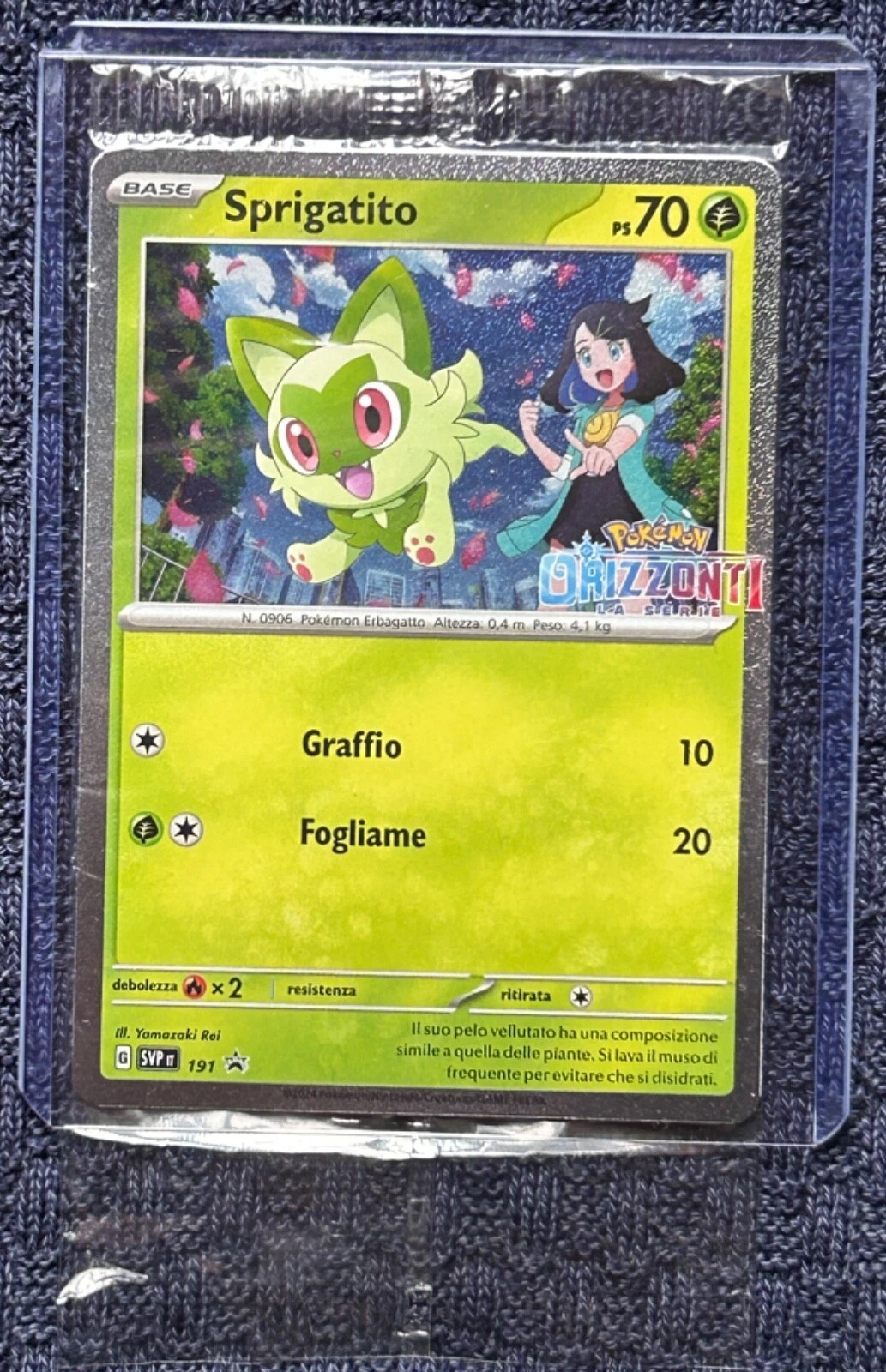 Foto 2 di 6