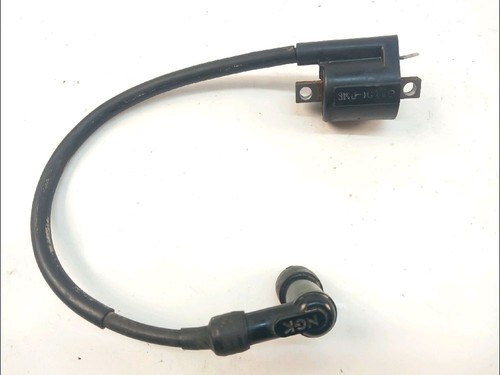 BOBINA D'ACCENSIONE Renault Clio 2 serie 2000 175