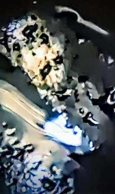 Aliens R Real As Ever NO Dought About It REAL Luve Footage