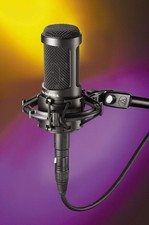 Audio-Technica AT2050 Multi-pattern Studio Condenser Vocal Microphone