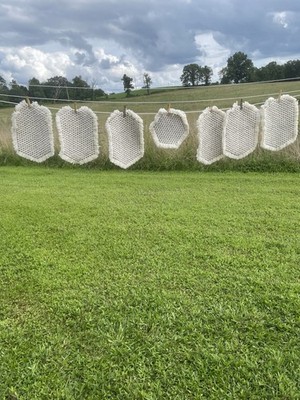 Six Daisy Pattern Crocheted Placemats With Trivet 