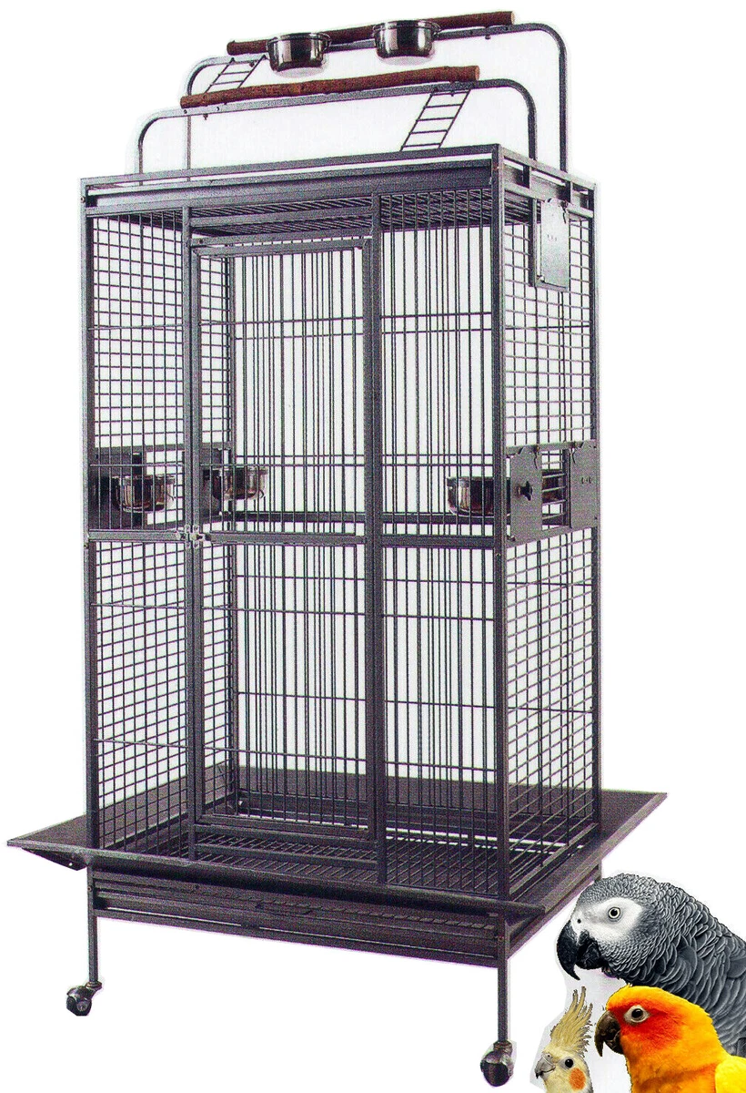 Picture of Conure Bird Cages