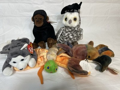 Ty Beanie Babies Lot Of 5: CLAUDE, CONGO, NANOOK, SMART, GLOW; Some Tag Errors