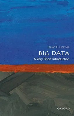 Big Data: A Very Short Introduction | Dawn E. Holmes | Taschenbuch | Englisch