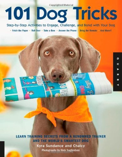 101 Dog Tricks: Step-by-step Activities to Engage, Challenge, and Bond with You