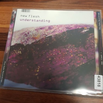 NEW FLASH understanding VG+/EX (CD Album, Hip Hop, Big Dada)