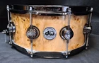 DW Collectors Exotic Burl 14x6" Inch Snare Drum Maple Black Nickel USA Rullante