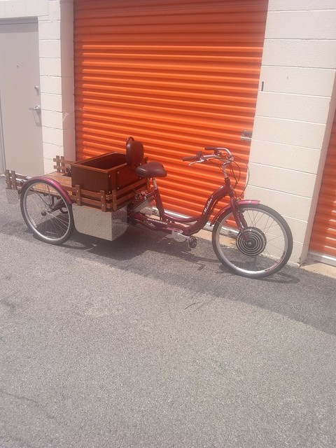 schwinn meridian electric conversion kit