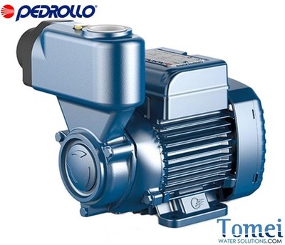 Selbstansaugende Peripheral Wasserpumpe für Bewässerung PKS80 Messing PEDROLLO