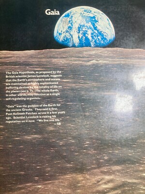 The Next Whole Earth Catalog-Access to Tools SEPTEMBER 1980