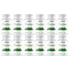 Plantsulin Capsules, Supports Healthy Blood Sugar -12 Bottles
