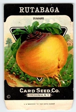 Rutabaga Turnips 1920's Card Seed Co Packet EMPTY Vintage Fredonia New York NY